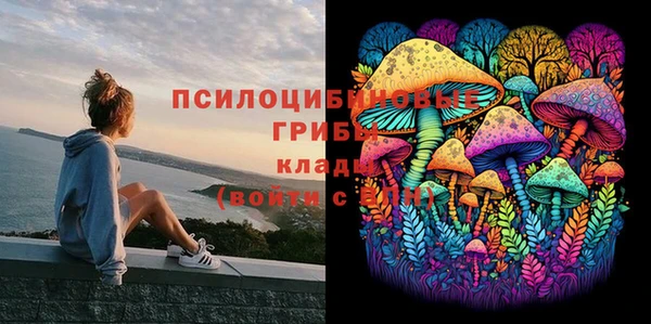 бутират Ладушкин