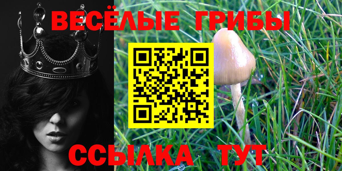 Галлюциногенные грибы мухоморы Сибай