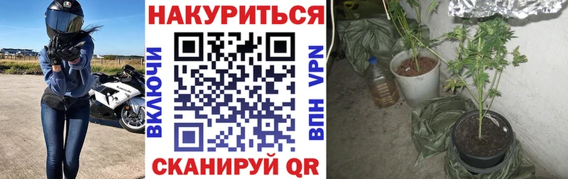 купить закладку Сибай Марихуана конопля